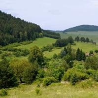 Česká republika na Radě pro zemědělství a rybolov: Vize pro zemědělství znamená v některých oblastech pokrok, jinde však neodpovídá realitě